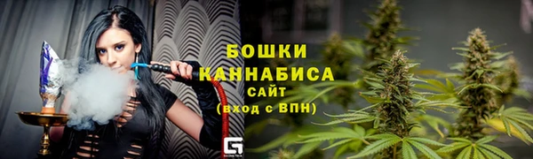 сатива Арсеньев