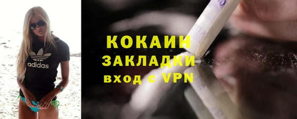 сатива Арсеньев