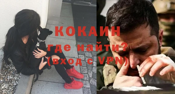 сатива Арсеньев